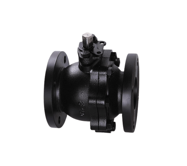 Cast Iron & Ductile Iron Valves