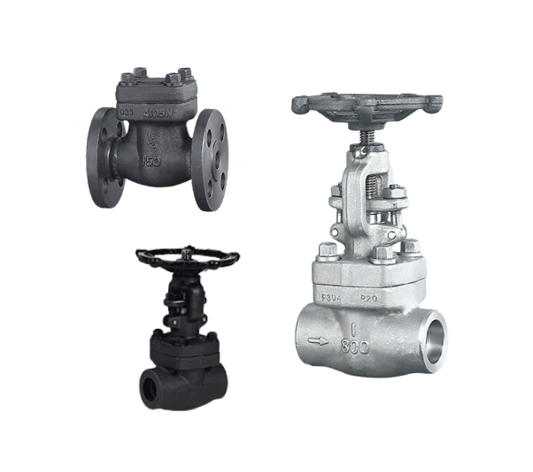 Forged Valves