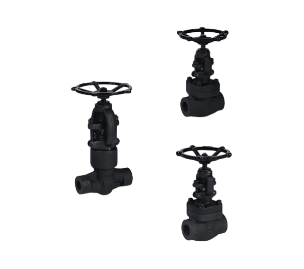 Forged Globe Valve (A182, A105N, F304, F316, LF2)